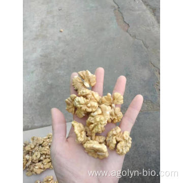 New Crop High Quality Shelled Raw Xin2 Walnuts